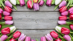 tulipános szív